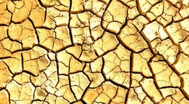 干枯龟裂的地高清大图