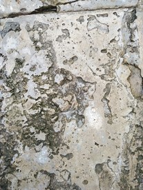 地板 水泥地 混凝土纹理 素材