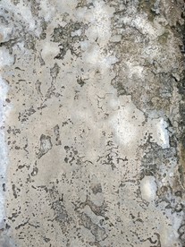 地板 水泥地 混凝土纹理 素材