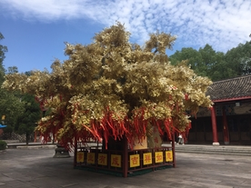 祈福树