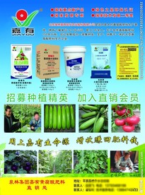 嘉有