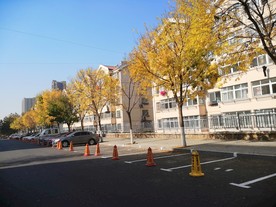 秋天