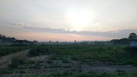 早晨