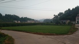早晨