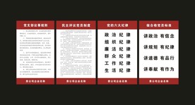 党制度牌