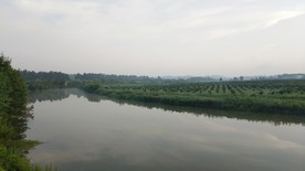 早晨