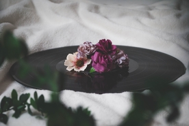 花鸟