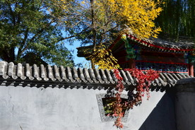 后海风景