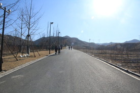 冬天公路