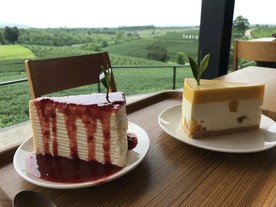 清莱翠峰茶园下午茶