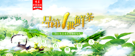 茶叶海报