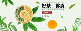 茶叶海报