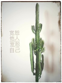 龙骨