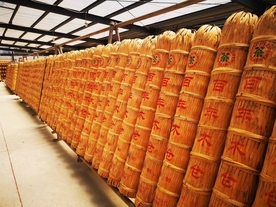 茶仓库现场实景意境图