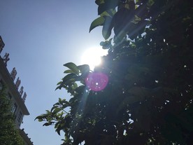 天空