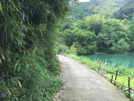 乡间小路
