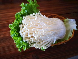金针菇