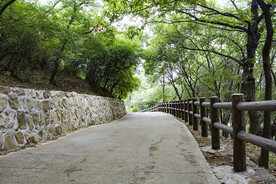 水泥路