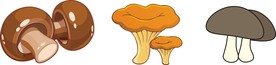 蘑菇