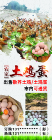 土鸡蛋 农场 展架