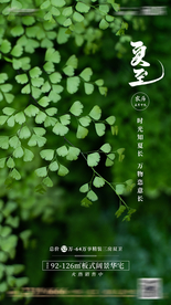 夏至 海报 夏天