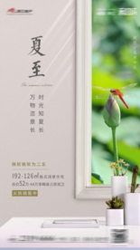 夏至 夏至海报 夏至画面 夏至