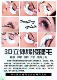 3D体嫁接睫毛     睫毛嫁