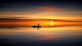 海