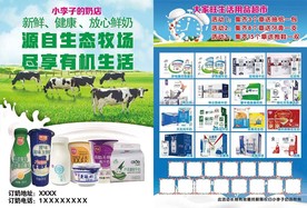 订奶宣传单