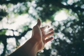 森林触摸