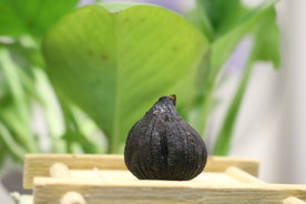黑蒜