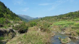 河谷