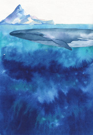 鲸鱼水彩插画