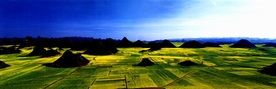 梯田上的山包