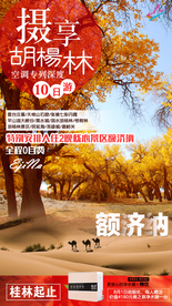 胡杨林