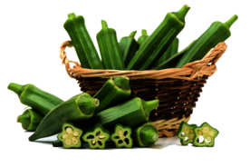 高清秋葵蔬菜新鲜男性补壮植物