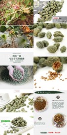 淘宝保健品详情页图片