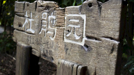 杜鹃园
