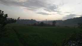 早晨