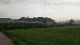 早晨