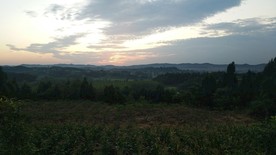 早晨