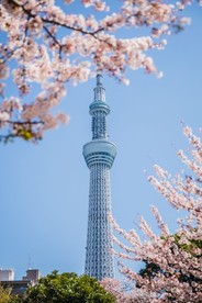 东京