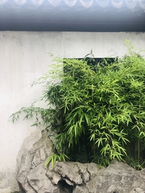 古风建筑