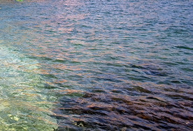浅海