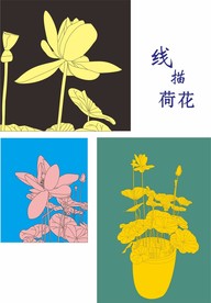 线描荷花