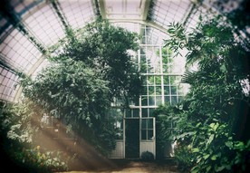 植物园林