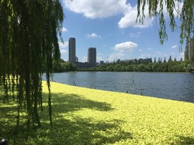 华家池