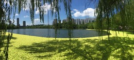 华家池