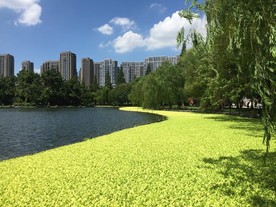 华家池