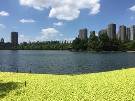 华家池